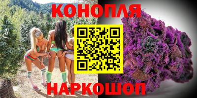 дурь Гай