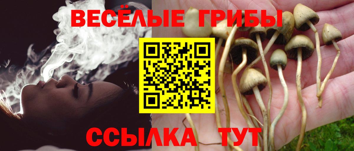 Галлюциногенные грибы Psilocybine cubensis  Вход с VPN  Назарово 